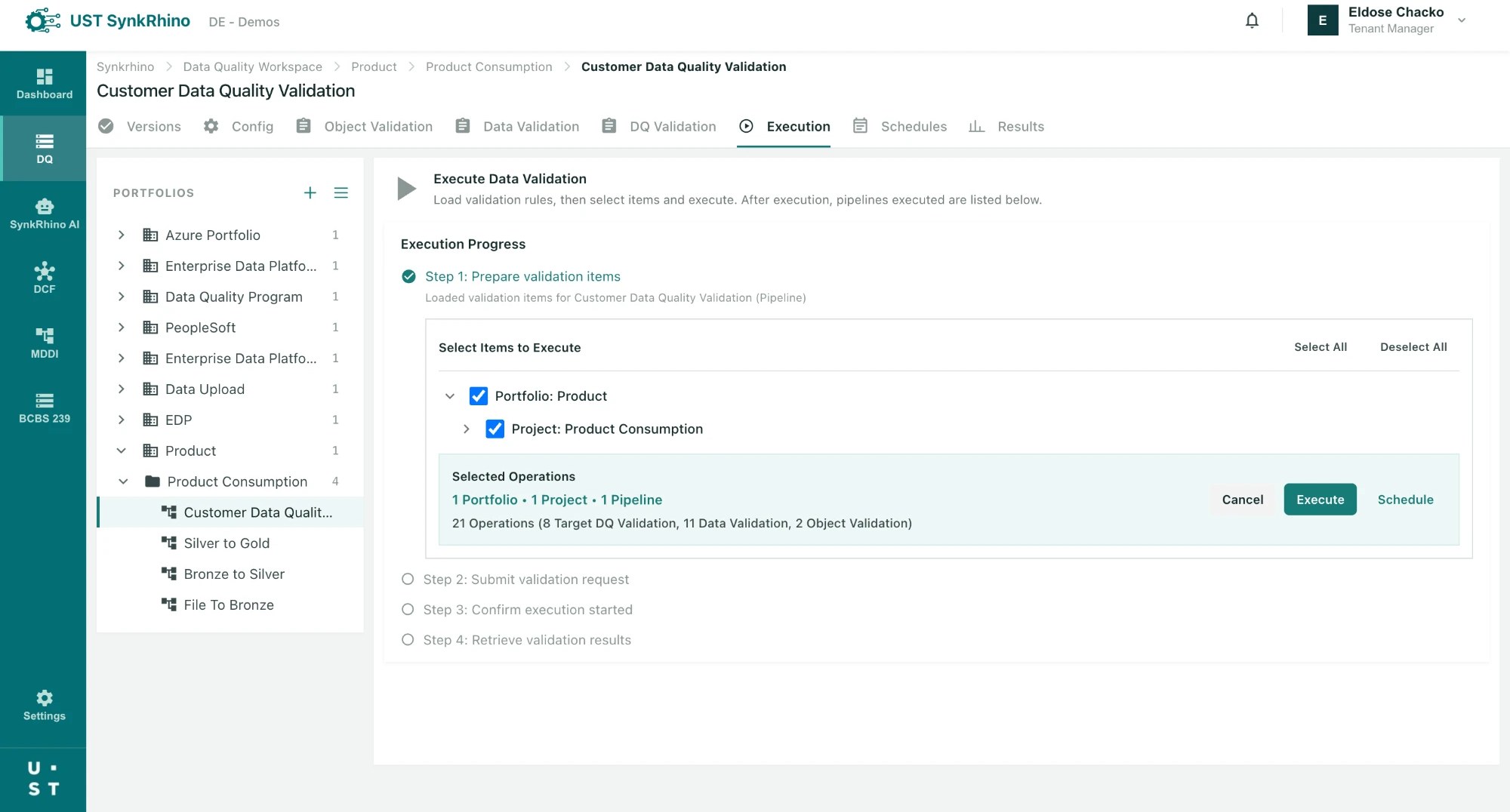 Data Quality Framework execution screen
