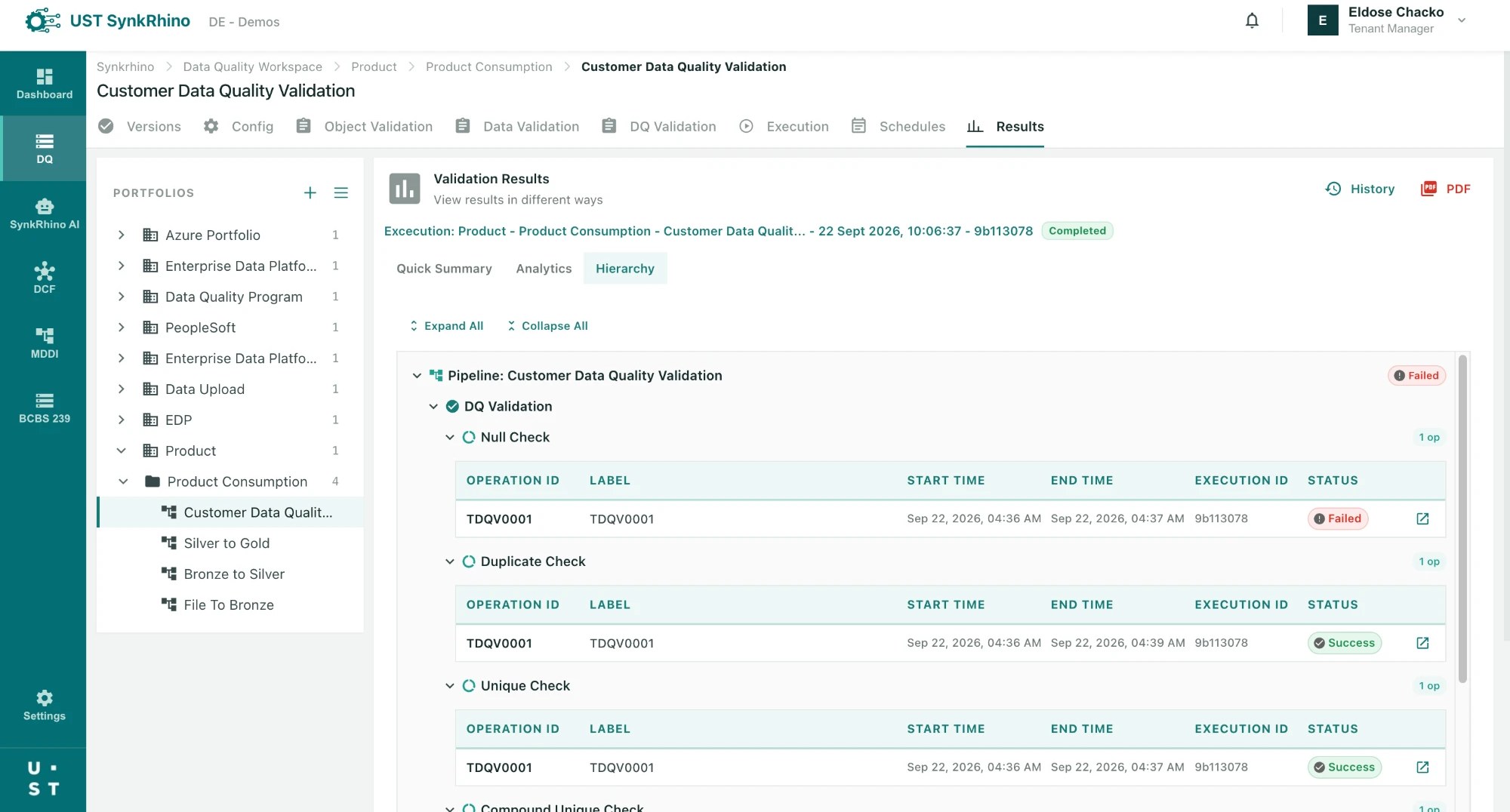 Data Quality Framework validation results, hierarchy view