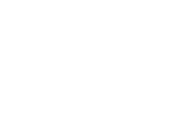 SynkRhino